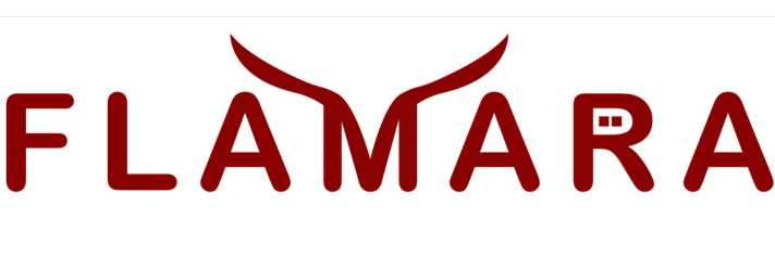 Flamara Group
